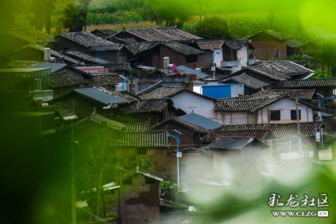 南宋官妓严蕊：和唐仲友以文会友，却被朱熹“泼脏水”严刑拷打？